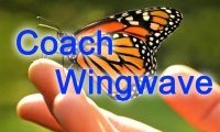 coach wingwave.jpg